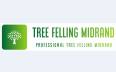 Tree Felling Midrand