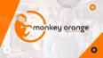 Monkey Orange Tech Lab