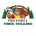 Pretoria Tree Fellers