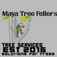 Maya Tree Feller's