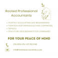 Rooted Professional Accountants