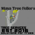 Maya Tree Feller's