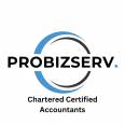 PROBIZSERV INC