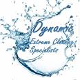 Dynamic Extreme Cleaning Specialists