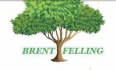 Brent Tree Felling