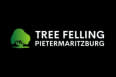 Tree Felling Pietermaritzburg