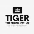 Tiger Tree Felling