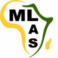 ML African Solutions