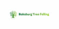 Boksburg Tree Felling