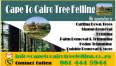 Cape To Cairo Tree Felling