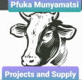 Pfuka Munyamatsi