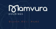 Mamvura Holdings