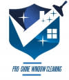 Pro Shine Window Cleaning