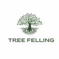 Midrandchamber - Tree Felling Midrand