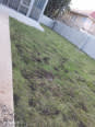 Garden Services Clean Up Gardener Tree Feeling And Landscaping