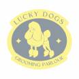 Lucky Dogs And Cats