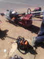 Tree Felling