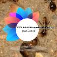 CP Exterminators