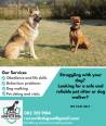 Runs With Dogs-dog Training And Pet Services