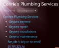 Plumber