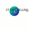 CT TREE FELLING