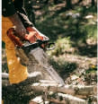 George Tree Felling Services
