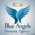 Blue Angels Domestic Agency