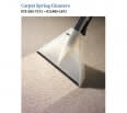 Carpet Spring Cleaners