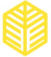 ECOSEO Agency