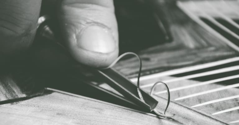Prase v procesu (2)