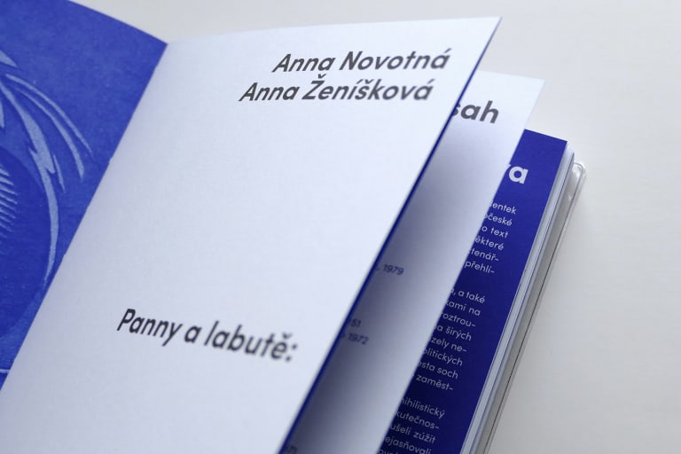 Panny a Labutě (23)