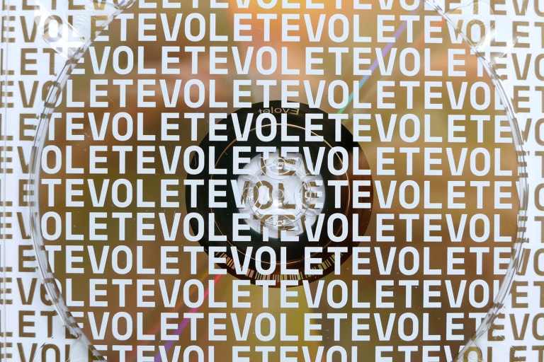 Evolet (6)