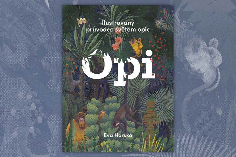 Opi_vizu_12_72