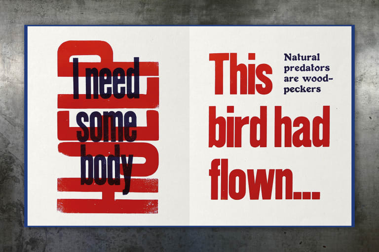 Norwegian_wood_book_10