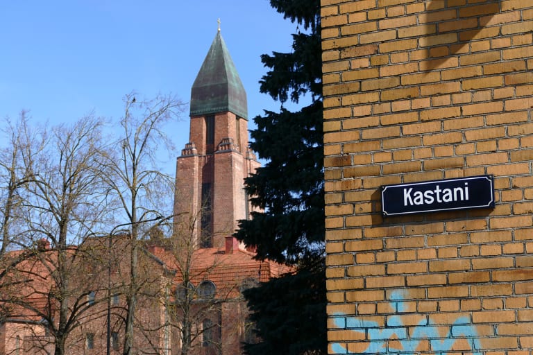 Kastani_13