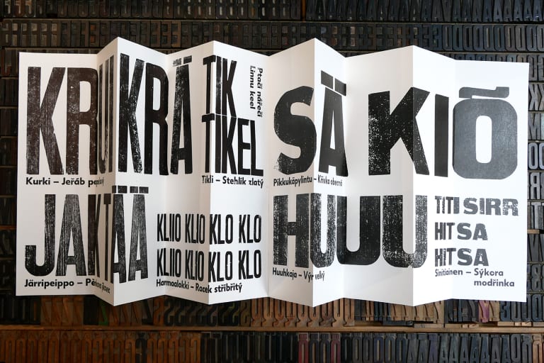 Linnu keel 1