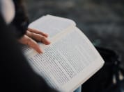 Beta Reading