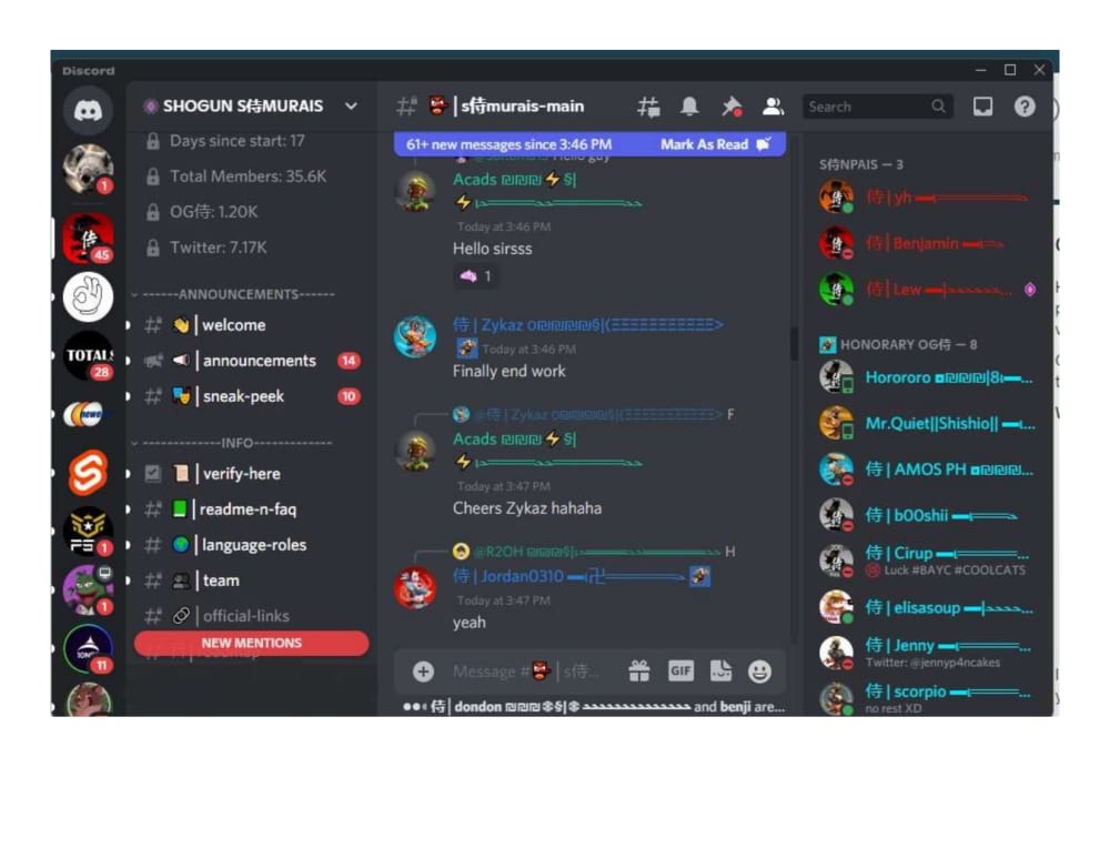 Complete Professional Discord Server Setup