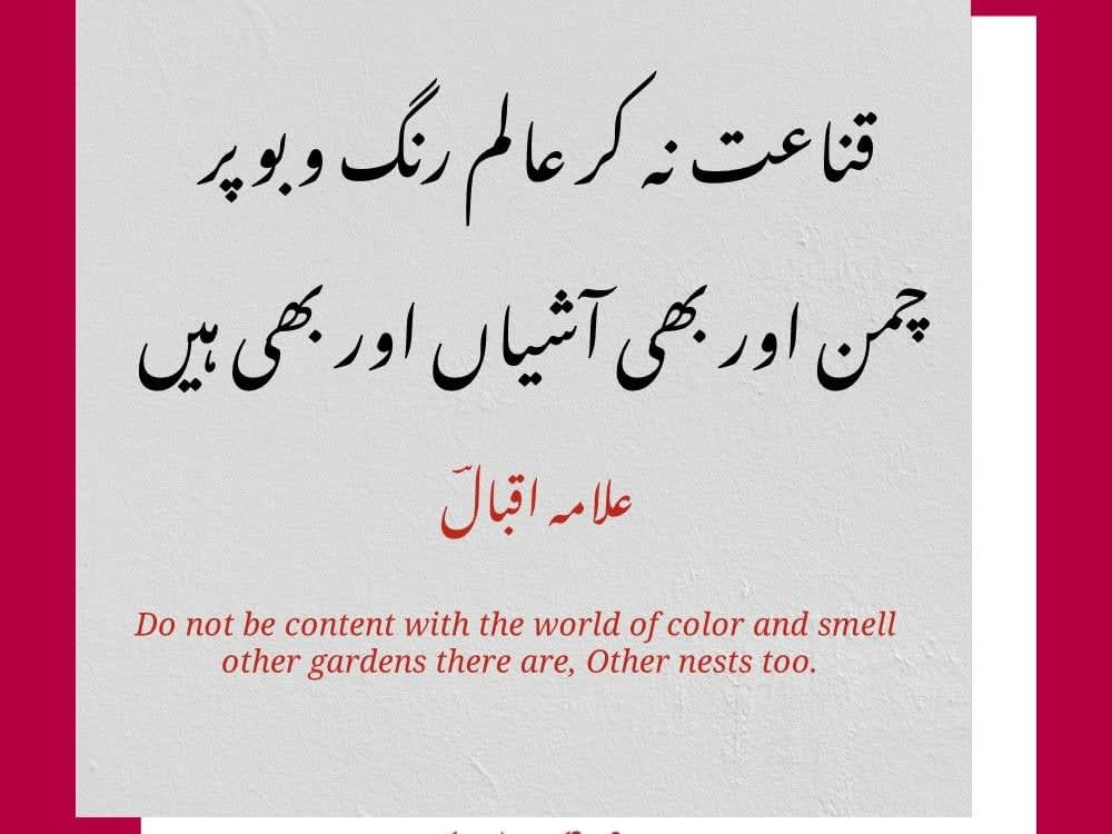 Translator for Multiple Languages English to Urdu Translation. Upwork