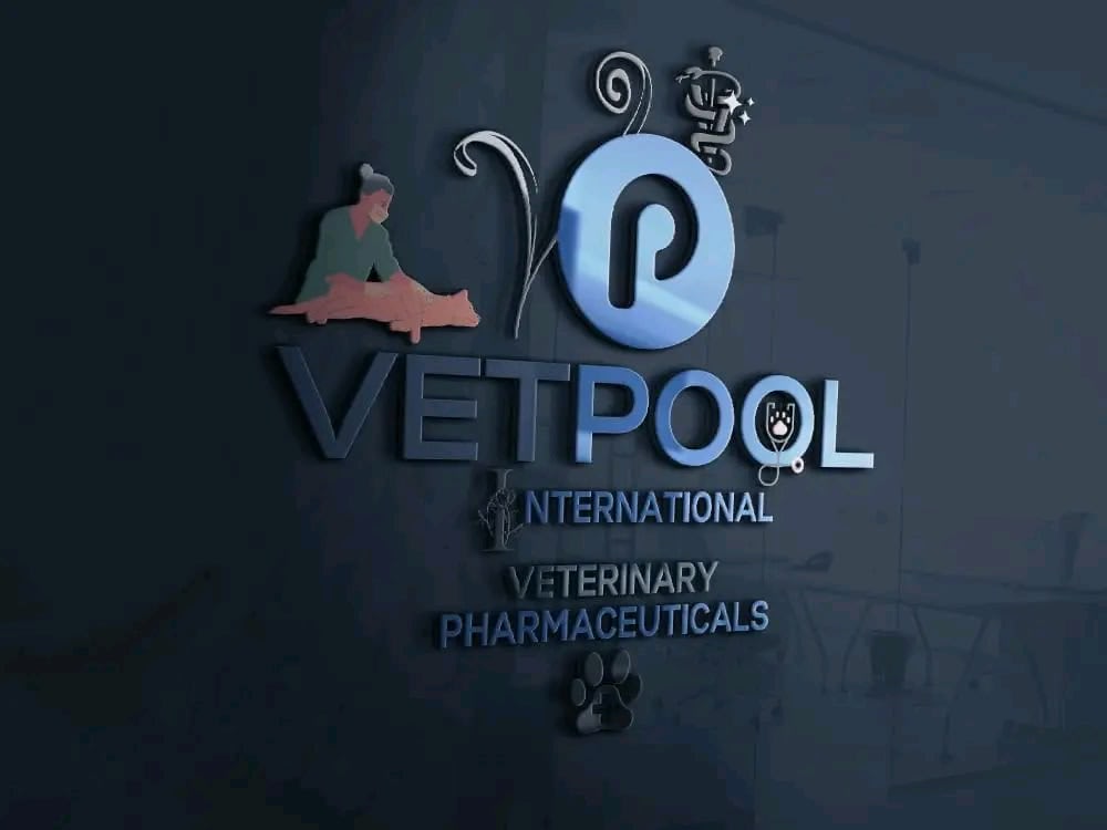 Google form, Photo Editing, Logo Design, Thumbnail, | Upwork