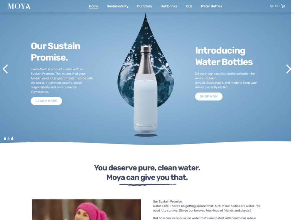 Advanced Wordpress Custom Theme Development | Upwork