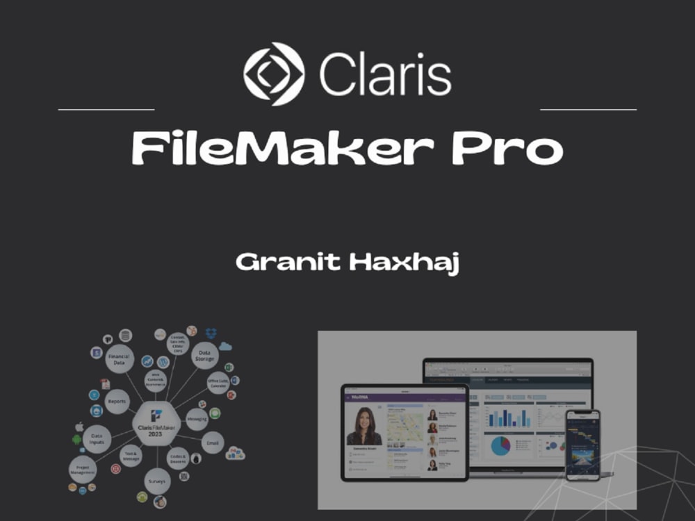 A powerful, efficient, and customized FileMaker Pro solutions | Upwork