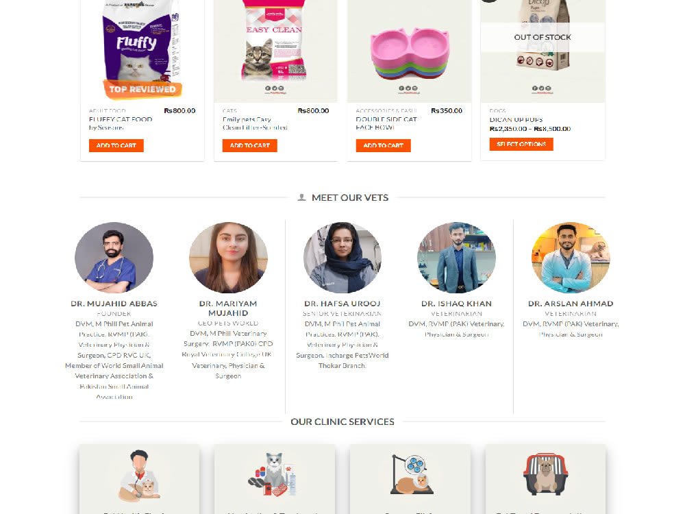 E-commerce ready website using elementor pro plugin | Upwork