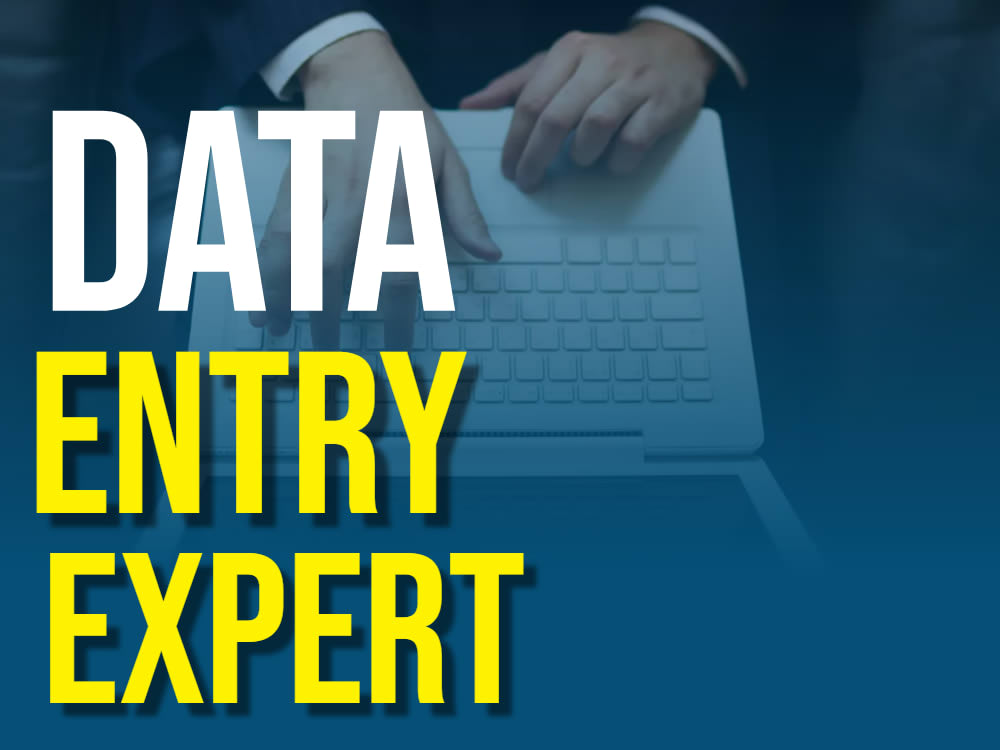 A fantastic deliverable Data entry service with a perfect turnaround ...