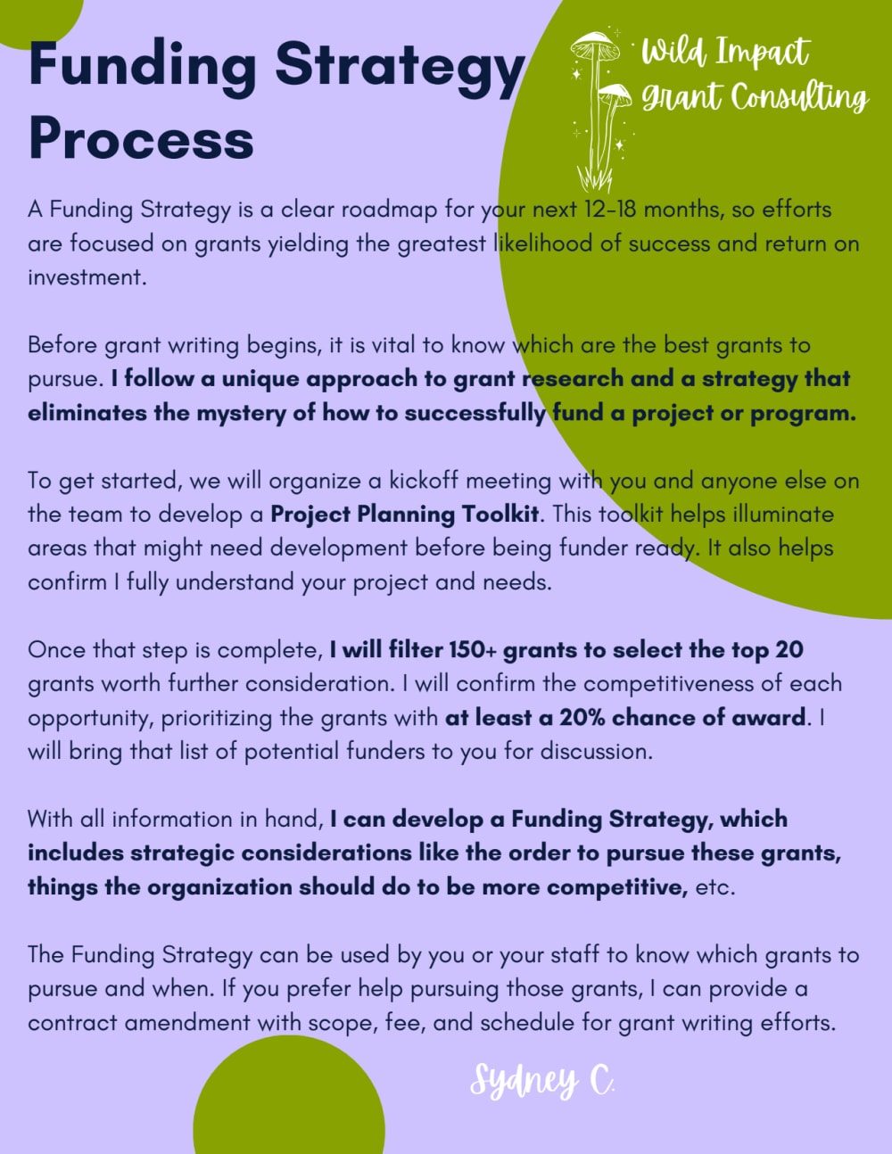 A rigorously researched Funding Strategy plan for your nonprofit
