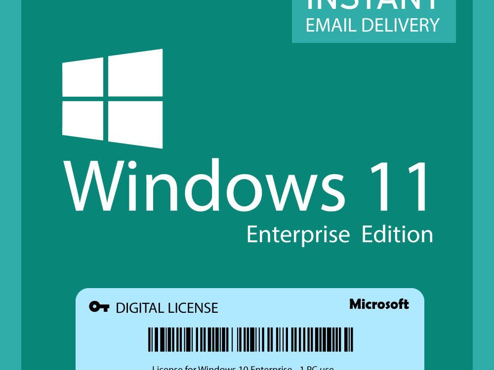 Download Microsoft Windows Pro 11 64 bit 1 License