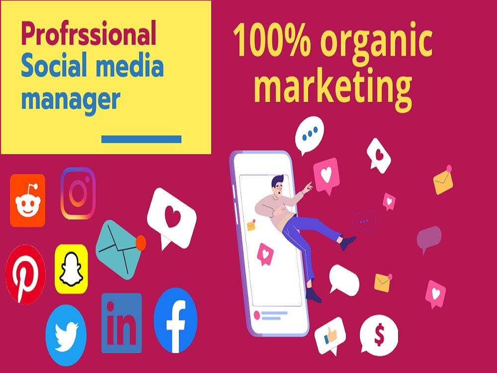 Social media account manager Social media assistant management Upwork