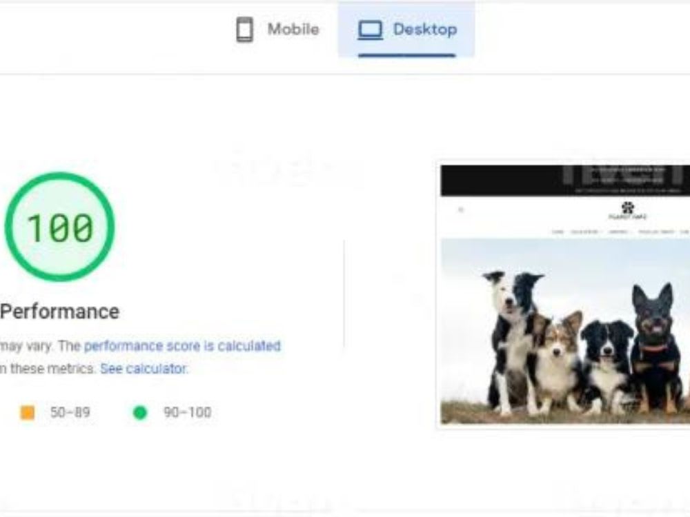 Shopify speed optimization and increase Shopify store score Upwork