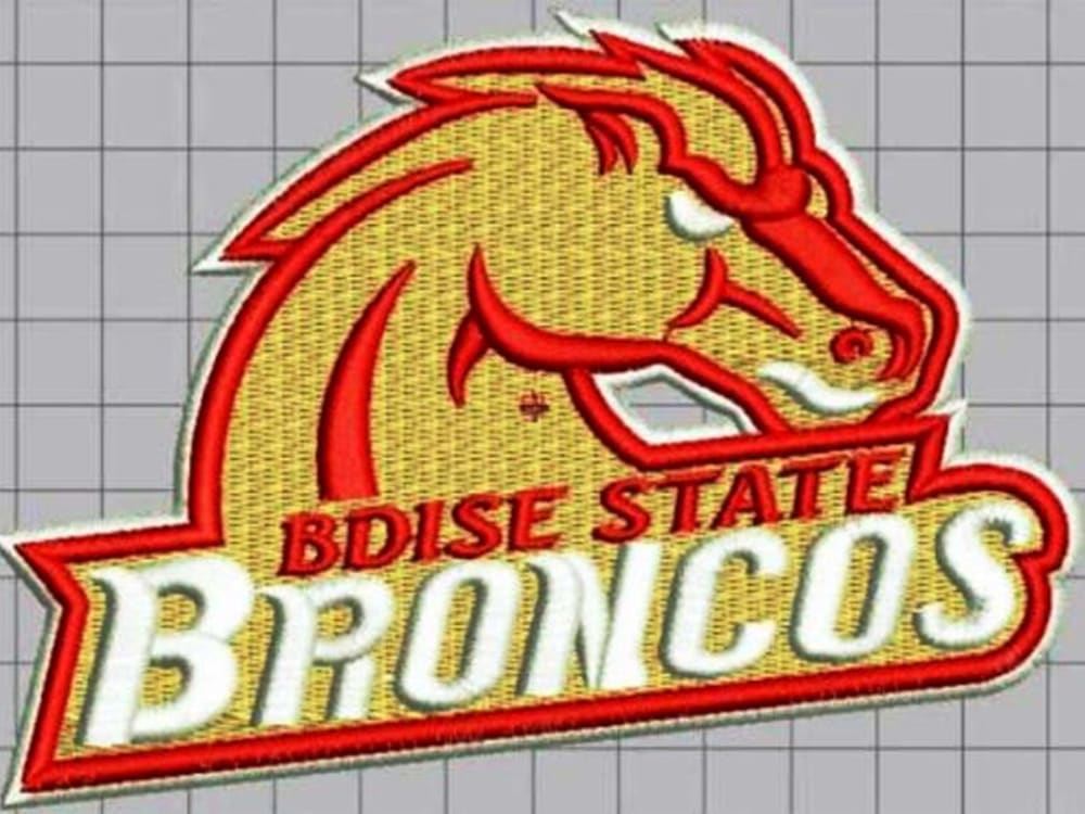 I will digitize the embroidery design into dst in a few hours Upwork