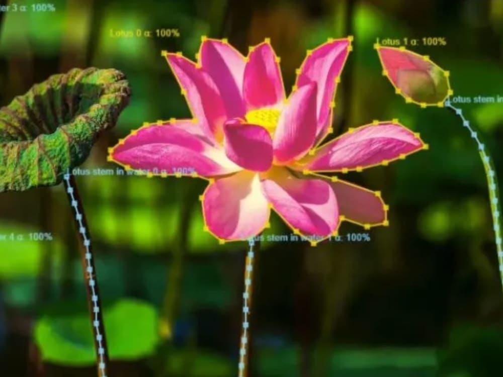 Polygon annotations to train AI model | Upwork